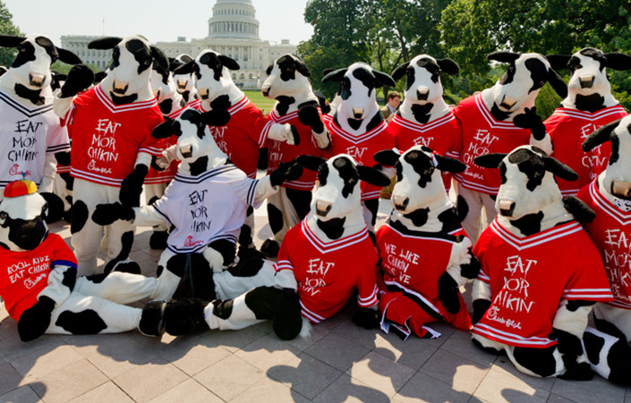 Image of several Chick-fil-A cows in front of the U.S. Capitol building. Image represents the types of property covered by Property insurance from the Chick-fil-A Operator Optional Insurance Program.